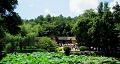 長沙出發(fā)到花明樓、韶山、張家界國家森林公園、天門仙山國家森林公園四日游